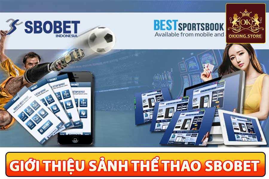 SBO Thể Thao - Trang Có Tỷ Lệ Kèo Cá Cược Thể Thao Đa Dạng