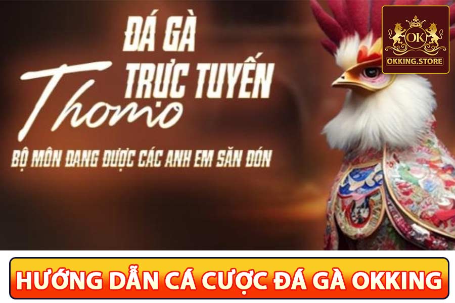 Hướng dẫn cá cược đá gà okking